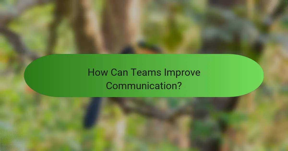 How Can Teams Improve Communication?