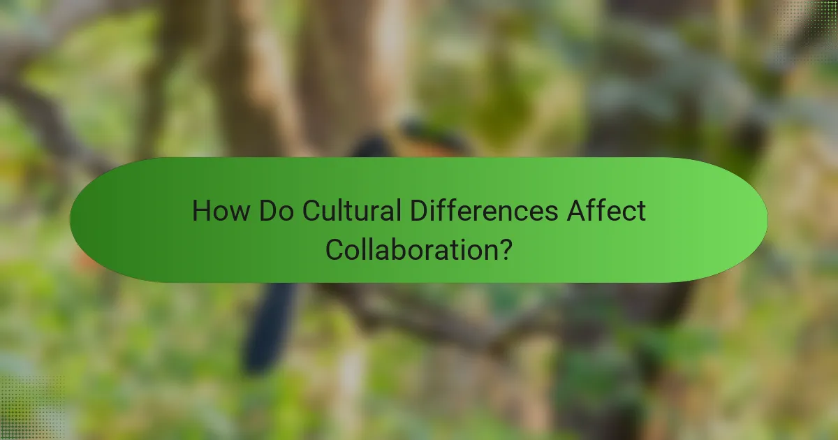 How Do Cultural Differences Affect Collaboration?