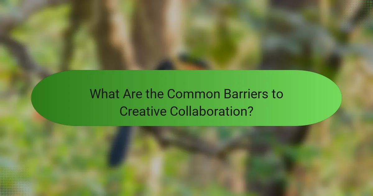 What Are the Common Barriers to Creative Collaboration?