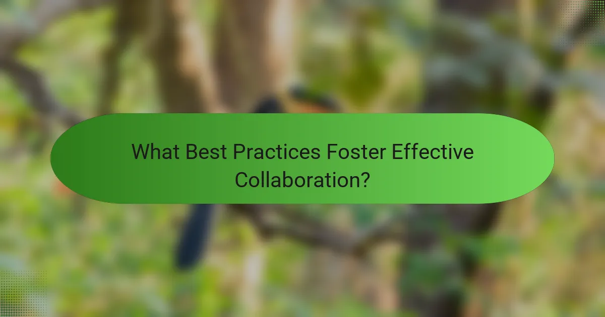 What Best Practices Foster Effective Collaboration?