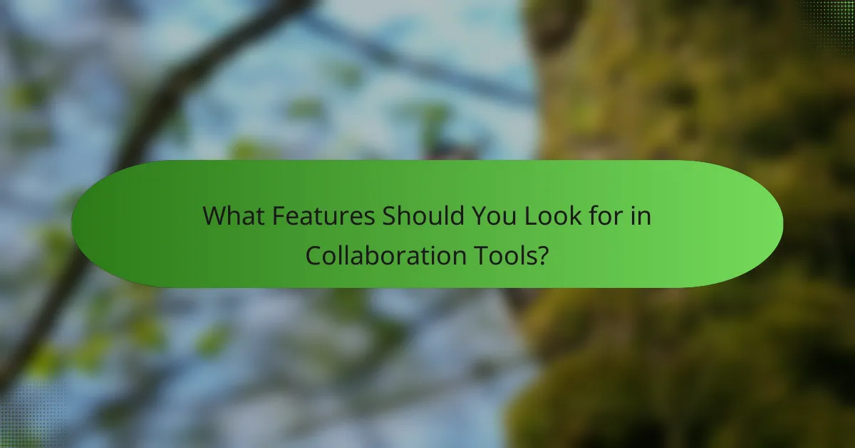 What Features Should You Look for in Collaboration Tools?