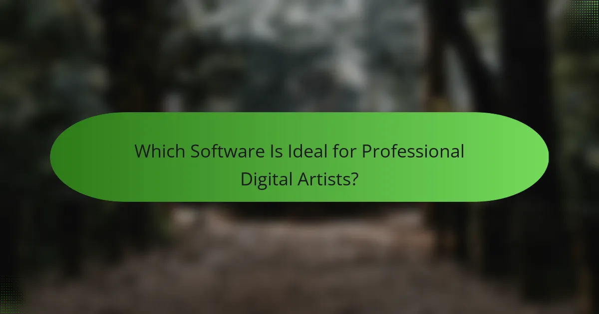 Which Software Is Ideal for Professional Digital Artists?